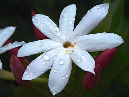 Why "I Could Have Planned Something" Turns Into Self-Blame