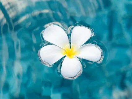 Why I Like Progressive Muscle Relaxation - A Talk