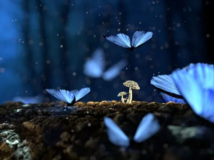 Why It's Possible To Do The Impossible