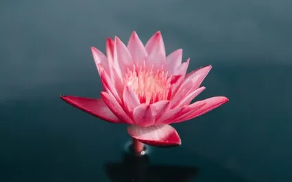 Kindness For Self First