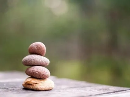 Why Meditate? Discover How Meditation Changes Your Mind