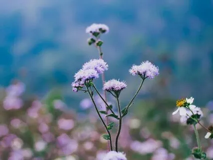 Why Mindfulness Matters In DBT