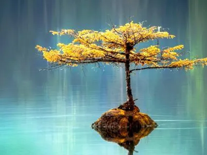 Why Not Do Something For Today?