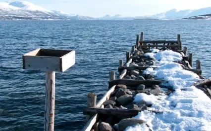 Why Practice Mindfulness?