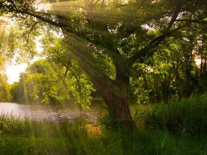 Why Searching For Your Calling Is Keeping You Lost