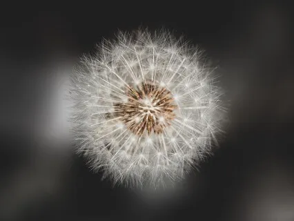 Why Sensitivity Really Is Your Superpower