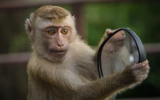 Why Should You Get To Know Yourself?