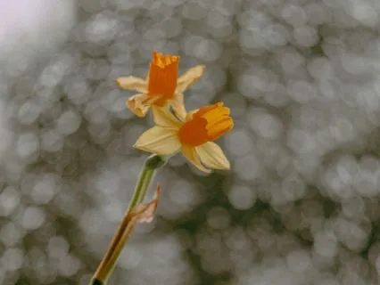 Why Slowing Down Feels Hard | A Nervous System Perspective