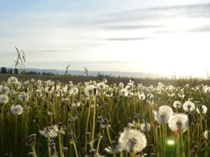 Why Some Are Organized & Others Are Not