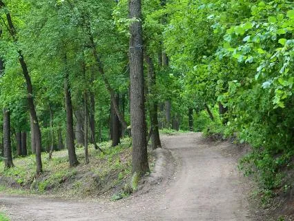 Why Sovereignty Scares Us - Mini-Lesson