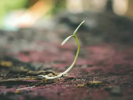 Why Was I Ever Created?