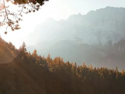 Why We Cry - Salt & Science