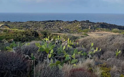 Why We Don't Know Godliness 2.0