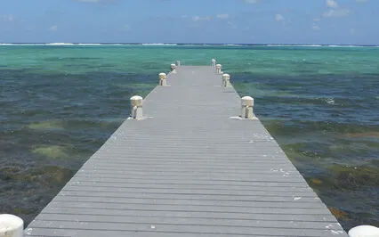 Why We Don't Know Godliness