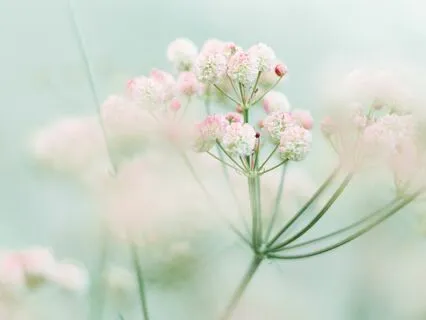 Why We Have More Energy When We're In The Present Moment