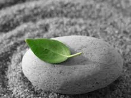 Why We Meditate - Letting Go