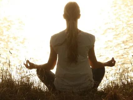 Why We Meditate