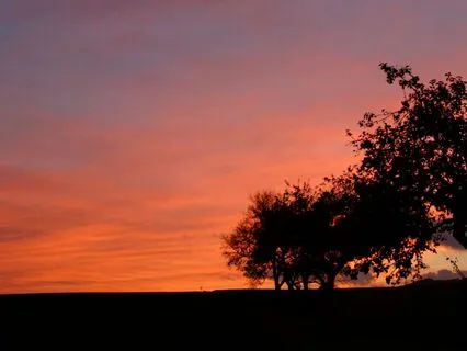 Why Worrying Feels Like Safety (But Isn’t)