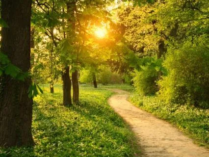 Why You Feel Stuck — A Gentle Way Forward