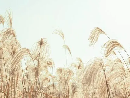 Why You’re Missing A Relationship You Never Want Back