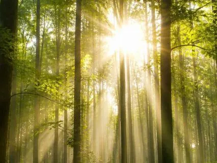 Wide Awake: Gamma Binaural Beats For Energy And Clarity