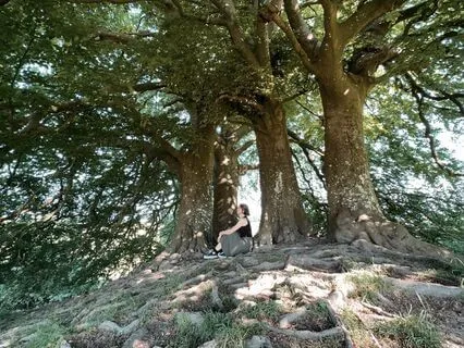 Grounding And Elevating To Widen Your Energy Now