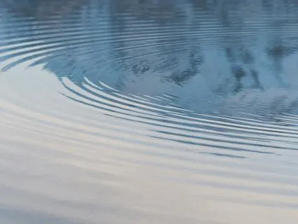 Widening The Circle: A Practice Of Loving Kindness
