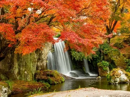 Widening Your Heart & Your Business To Contain More