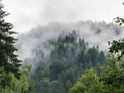 Wild And Free Rain In The Mountains For Good Night Sleep