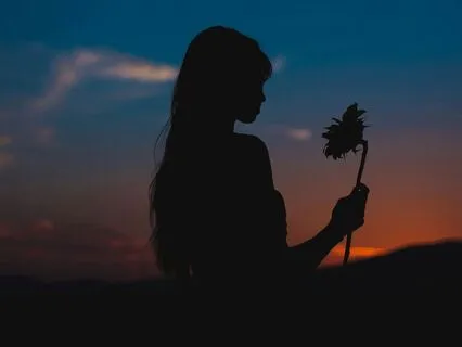 Wild Flowers At Sunset: Yoga Nidra