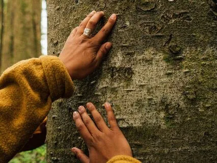 Wild Geese - Poem By Mary Oliver