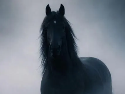 Wild Horse Medicine: Fascia Release - Blue Mountains Journey