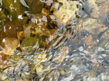 Wild Yoga Nidra: Highland River