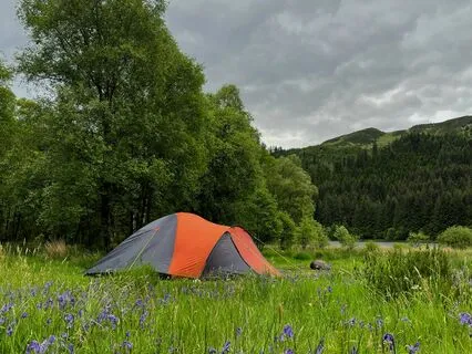 Wild Yoga Nidra: Summer Rain