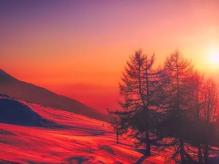 Wilderness Nature Sounds