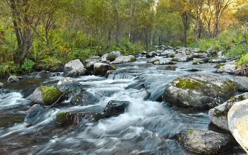 Wilderness Stream: Deep Forest Ambiance