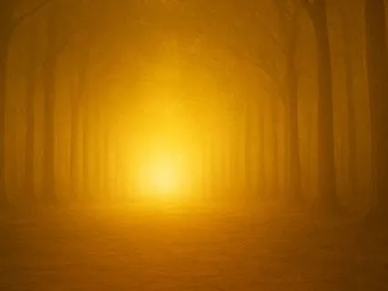 Wilderness To Wisdom: 12 Repeat