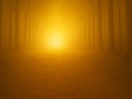 Wilderness To Wisdom: Jesus Never Called Us Christians