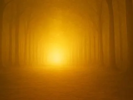 Wilderness To Wisdom: Red Pill, Blue Pill... Or Neither?