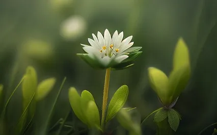 Wildflower Wisdom: Build Confidence And Resilience