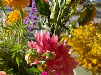 Wildflowers Meditation For Stress And Anxiety Relief