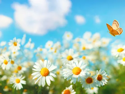 Grounding For Deep Self-Connection