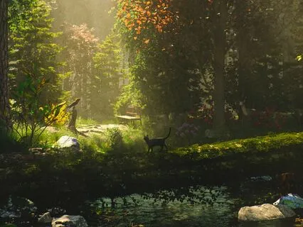 Wildwood Dreams: Tranquil Forest Ambience