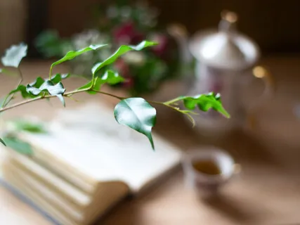 Will A Minimalist Lifestyle Make Me Happy?