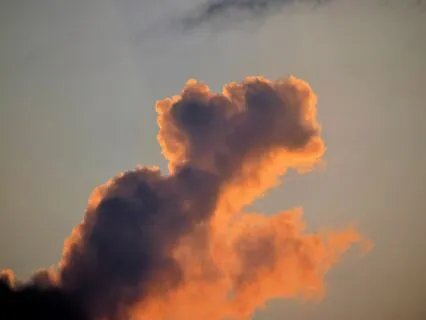 Will You Choose Fear Or Will You Choose Love?