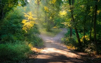 Willingness Is A Major Key