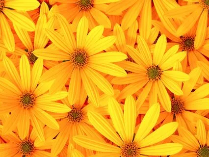 Willingness To Be Wrong: The Doorway To Growth