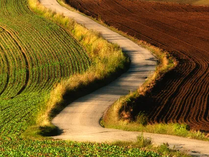 Willingness To Connect