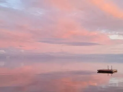 Willingness To Feel & Share Everything - Day 247