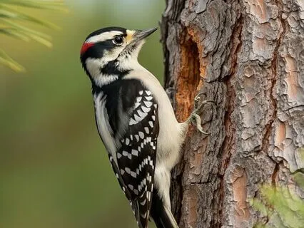 Win Over Any Conversation - Part 3